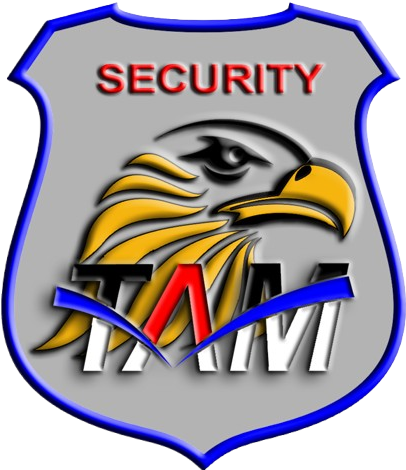 Security Logo